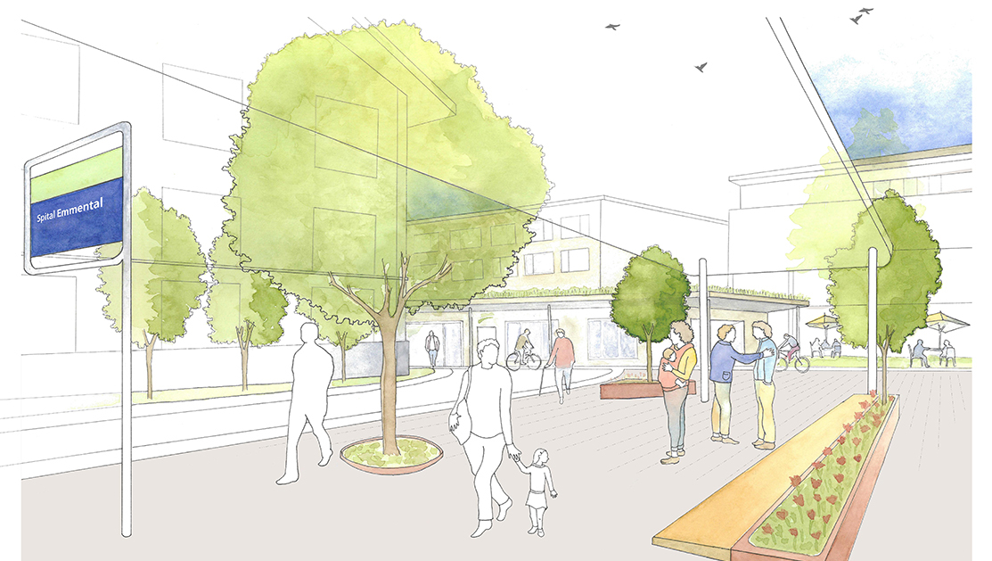 Newsletter SEin Oktober 2024 Langnau